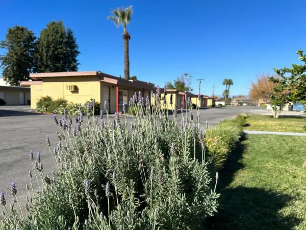 Royal Inn and Suites 10